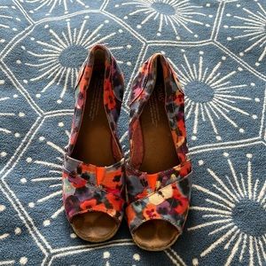 Toms wedge flowered